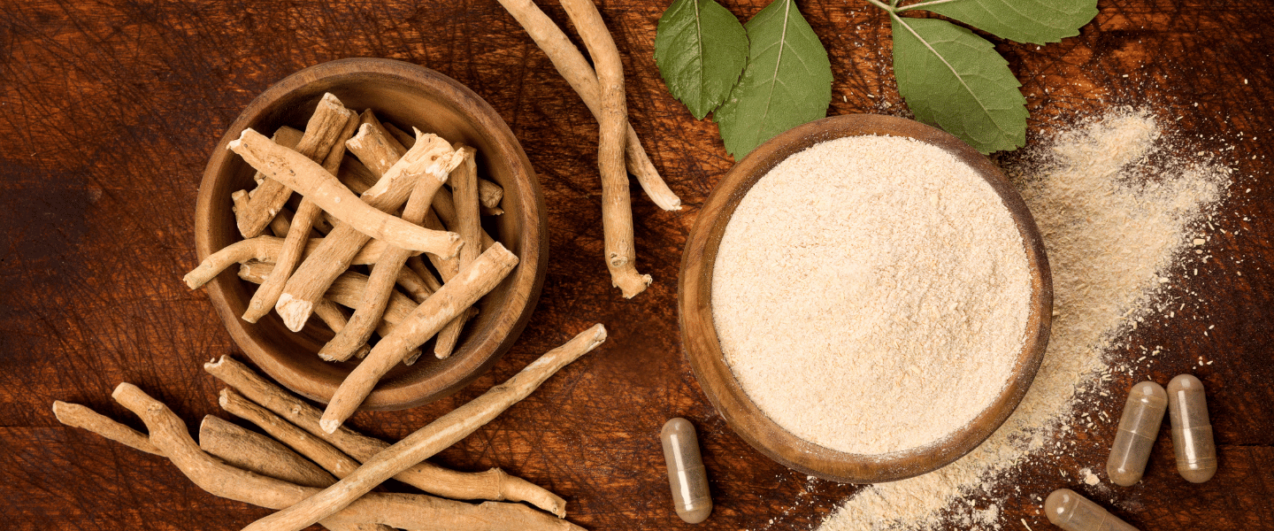 Meet Ashwagandha – The One Name in Wellness You Should Know