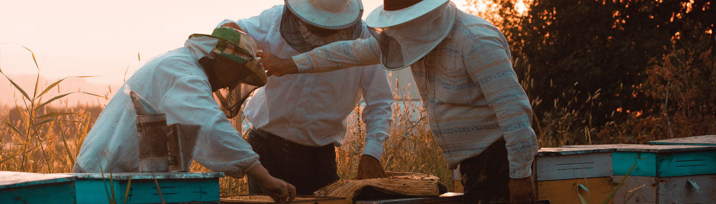 Why Choose Mānuka Honey?