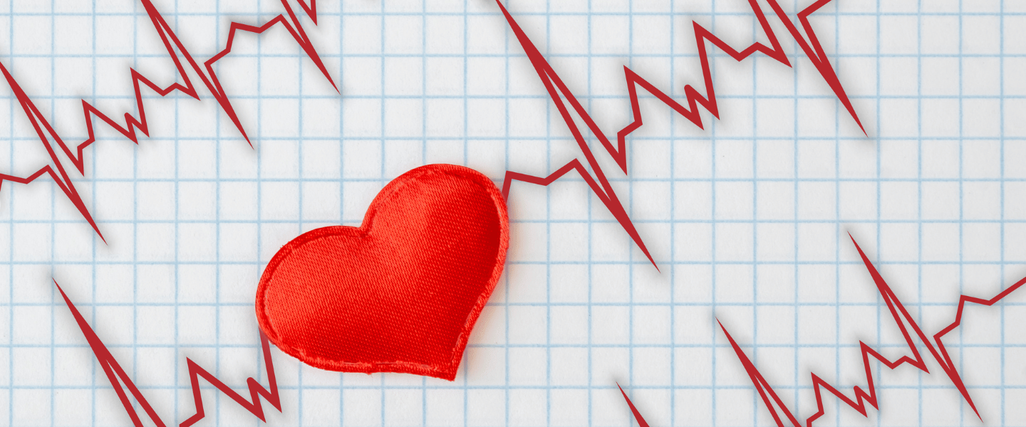 How Supplements Can Support Cardiovascular Health