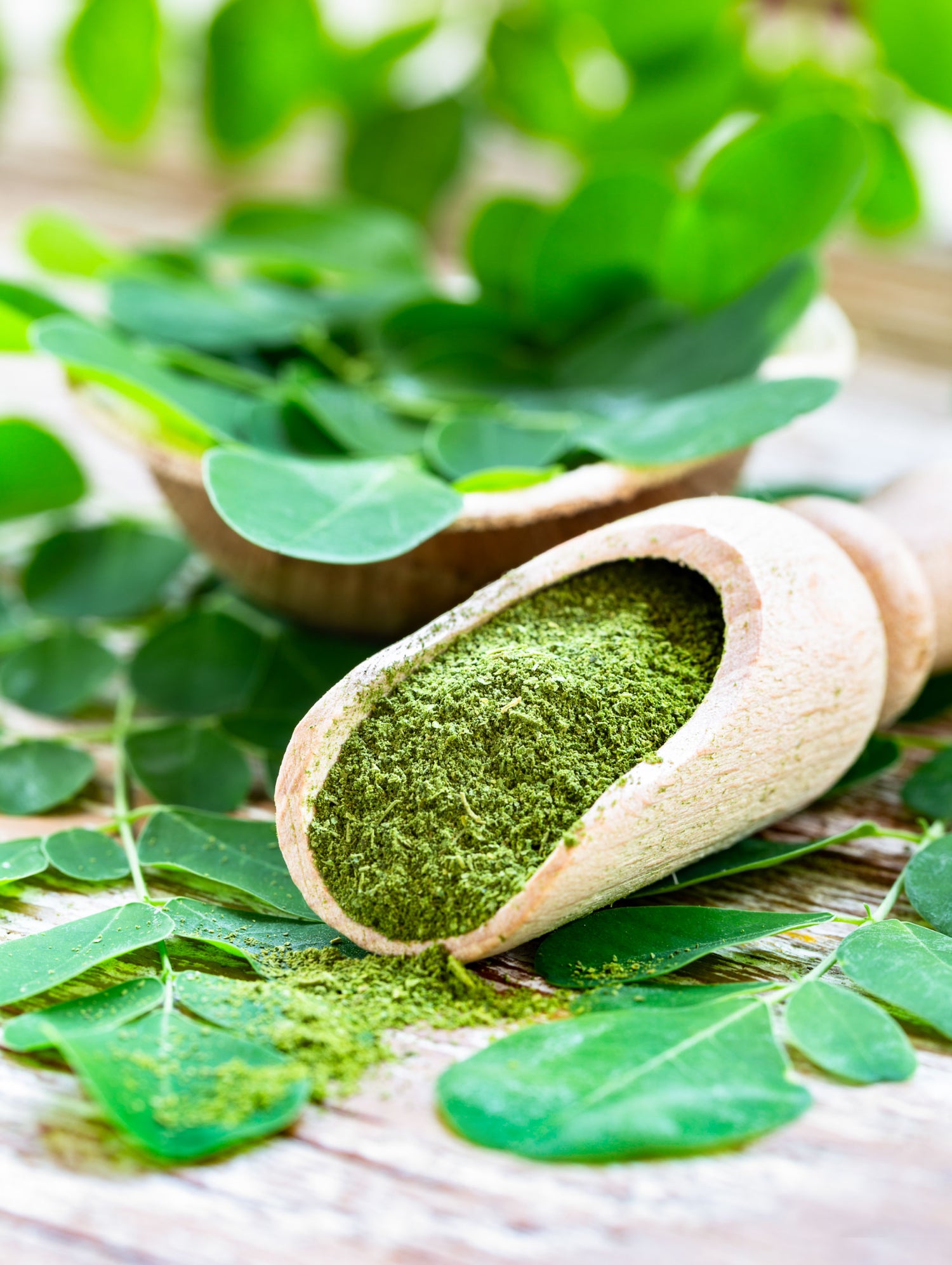Moringa Oleifera, 60 V-Capsules